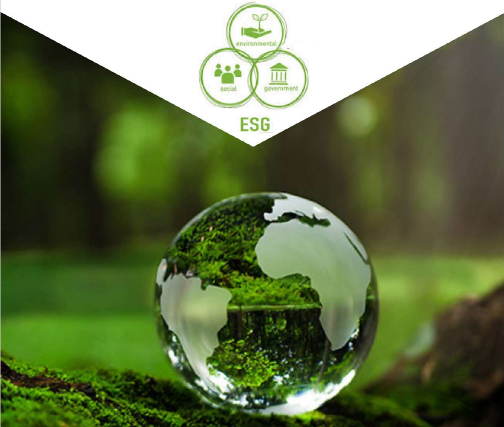 ESTABLISHING ENVIRONMENTAL, SOCIAL & GOVERNANCE (ESG) FRAMEWORK & POLICY FOR ORGANIZATIONS